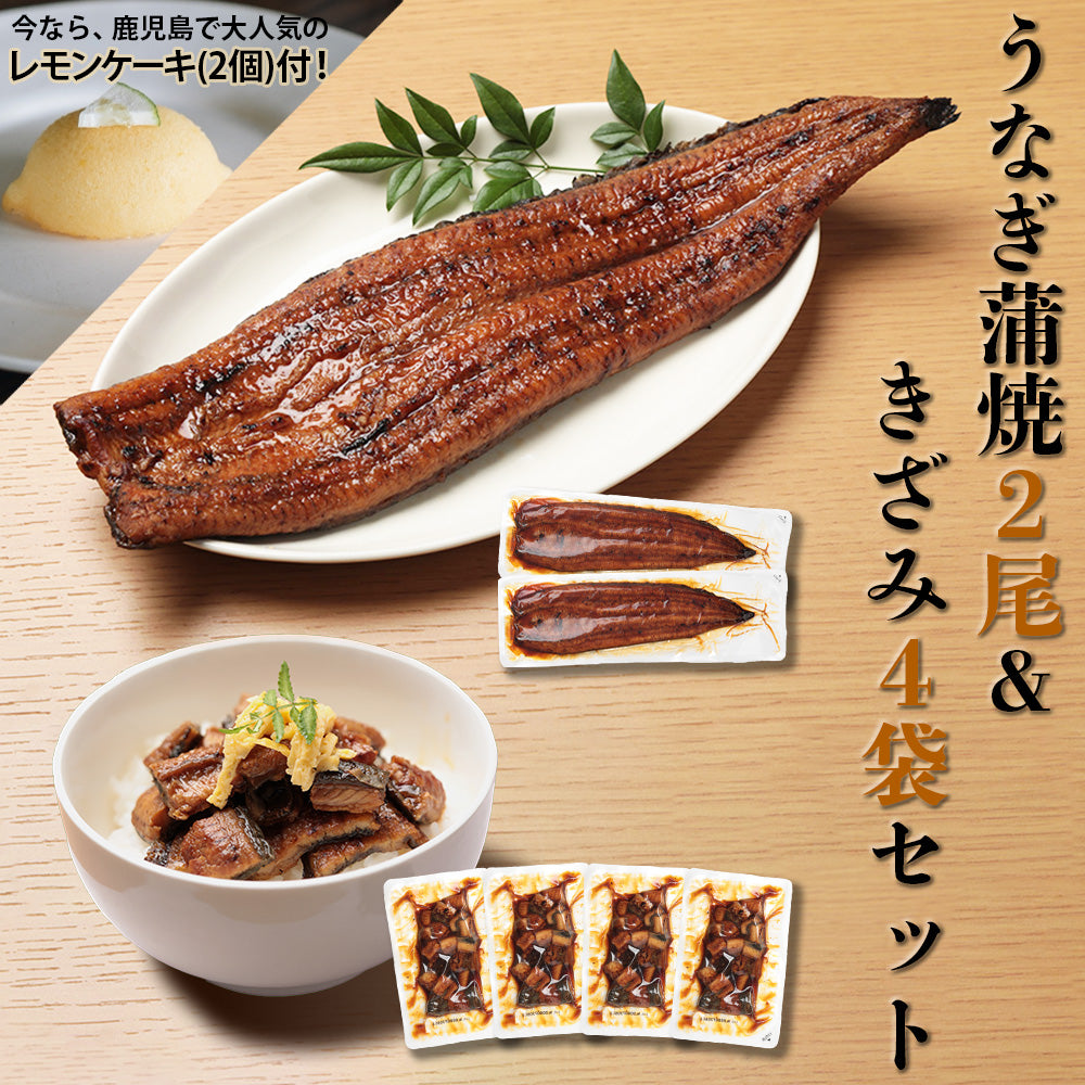 鹿児島県産 うなぎ蒲焼 【大】2尾＆きざみうなぎ4袋セット