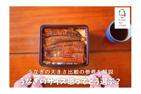 うなぎのサイズ感ってどう選ぶ？大きさ比較の参考やおすすめの通販 