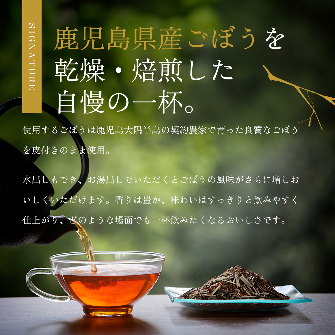 ネコポス送料無料＞鹿児島県産ごぼう屋の焙煎ごぼう茶 2.0g×30包
