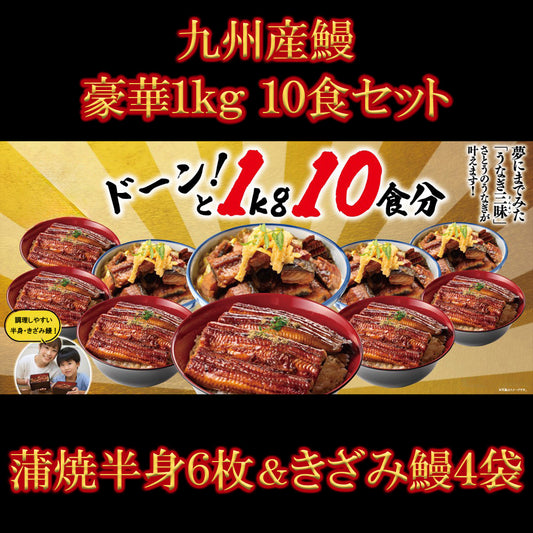 九州産 うなぎ蒲焼 豪華1kg 10食セット【0024ST】