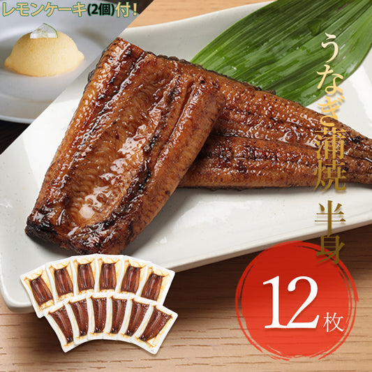 九州産 うなぎ蒲焼 半身【特大】12枚セット【0026ST】