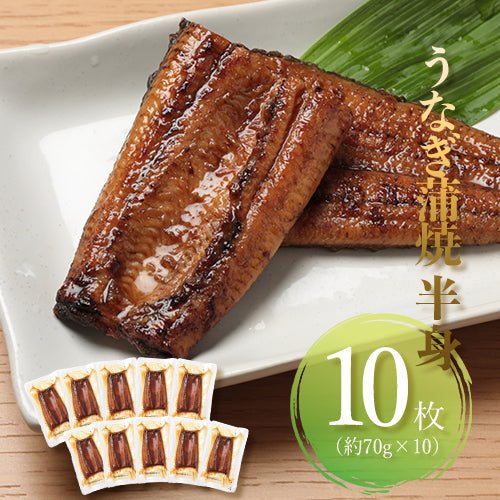 鹿児島県産 うなぎ蒲焼 半身【中】10枚セット