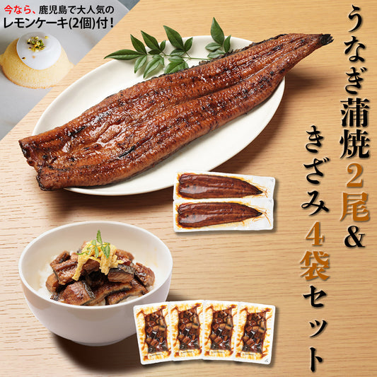 鹿児島県産 うなぎ蒲焼 【大】2尾＆きざみうなぎ4袋セット【0025ST】