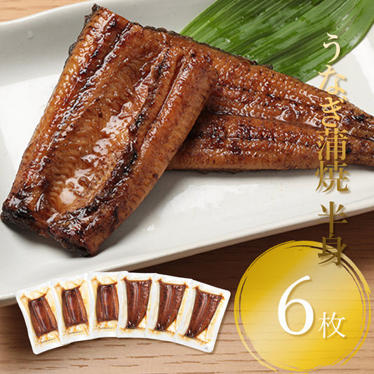 九州産 うなぎ蒲焼 半身【特大】 6枚セット【0006ST】